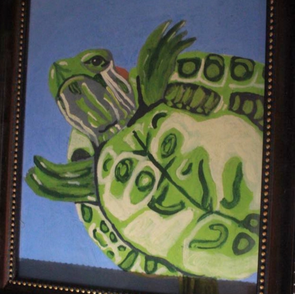 Green Turtle Art Print (Frame Not Included)   8×10
